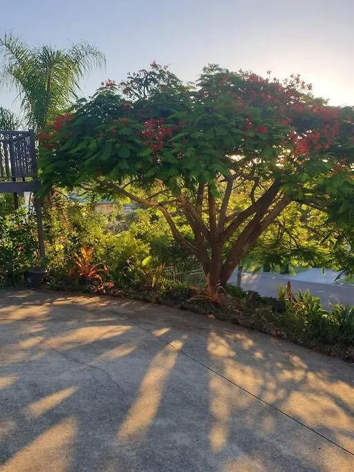 Tranquil Beach Getaway Coolum Beach Daire
